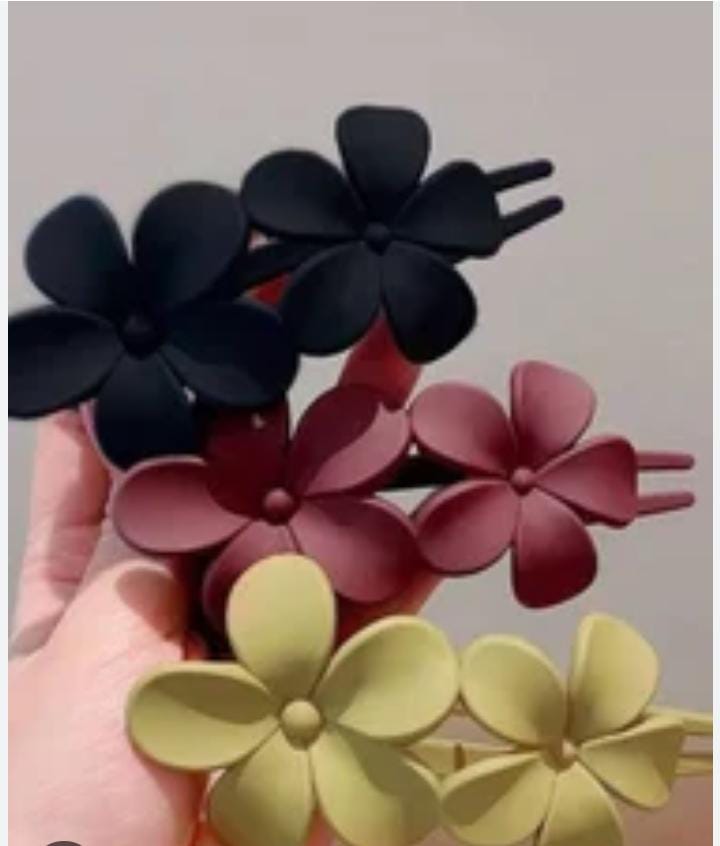 KOREAN HAIR CLAW CLIPS | RANDOM COLORS |